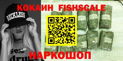 стафф Гай