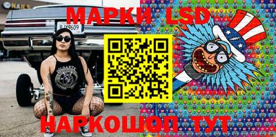стафф Гай