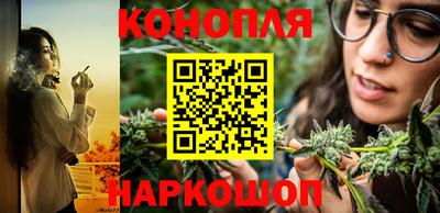 стафф Гай