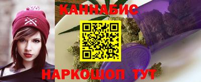 стафф Гай