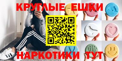 стафф Гай