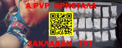 стафф Гай