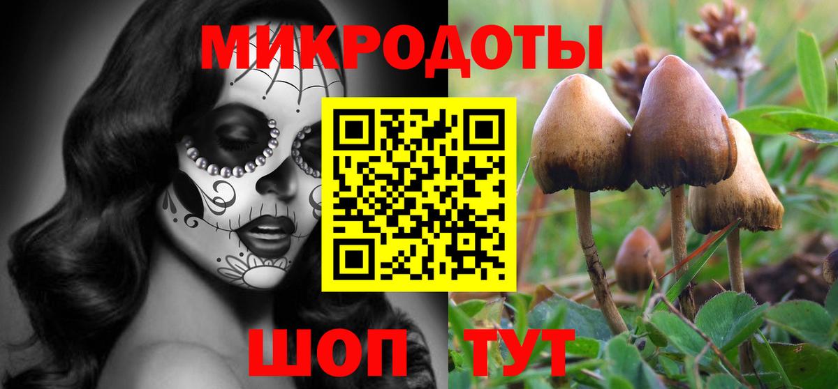 Псилоцибиновые грибы MAGIC MUSHROOMS Ногинск