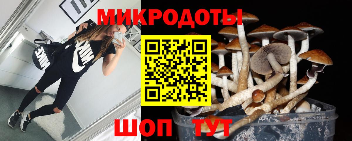 Галлюциногенные грибы ЛСД  Вход с VPN  Ногинск 